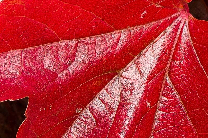 autumn-1-2.jpg