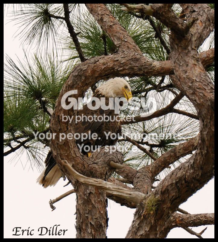 PIC_0822copy.jpg