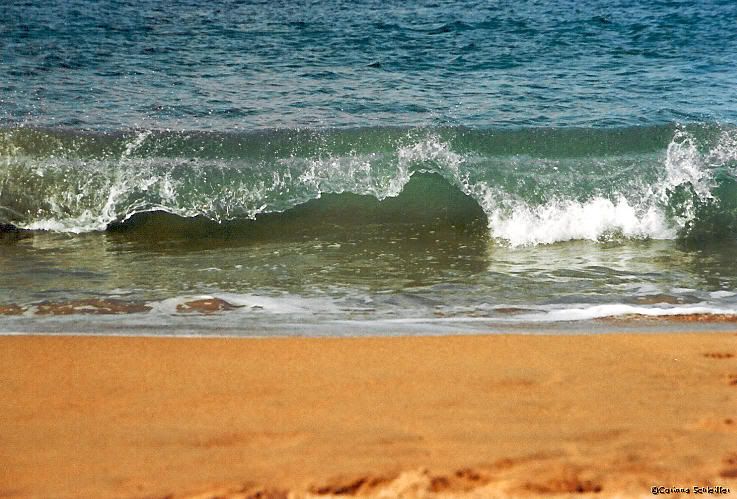 Wave.jpg