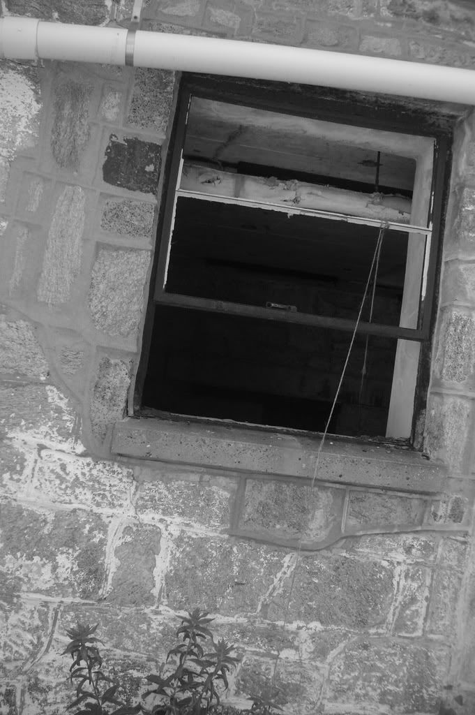 ImportedPhotos00313.jpg