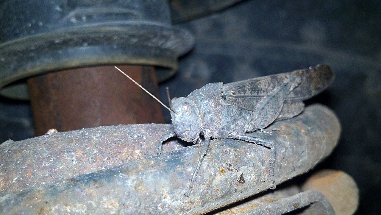 2011-08-23_09-07-34_728.jpg