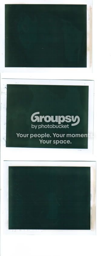 weirdpolaroids.jpg