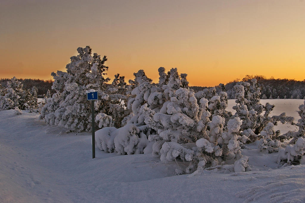 km__verstaposti_juures_by_ShadowPhotography.jpg