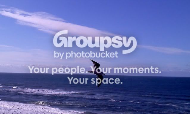 birdbird.jpg