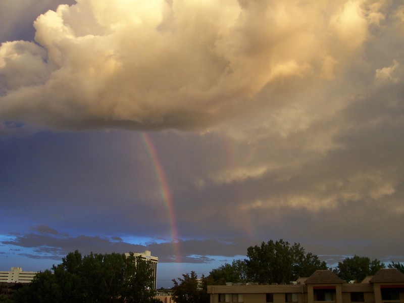 100_0136.jpg