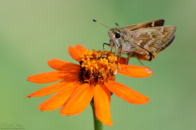 2013-08-25-05.jpg