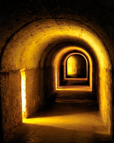 8x10_8%20(Medium).jpg