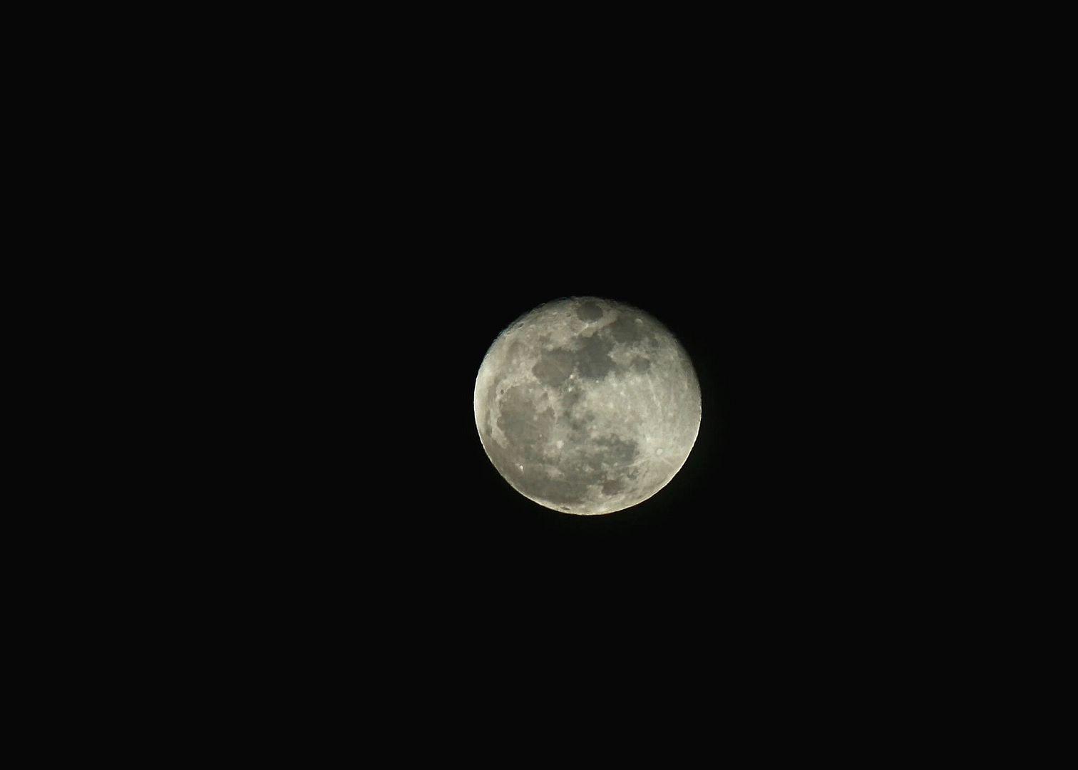 IMG_1240.jpg