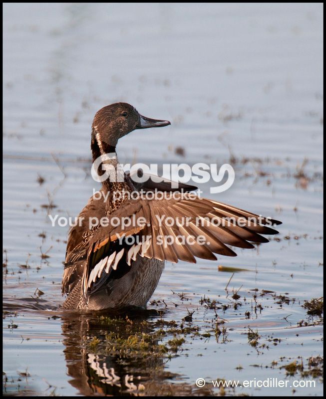 PIC_8554copy.jpg