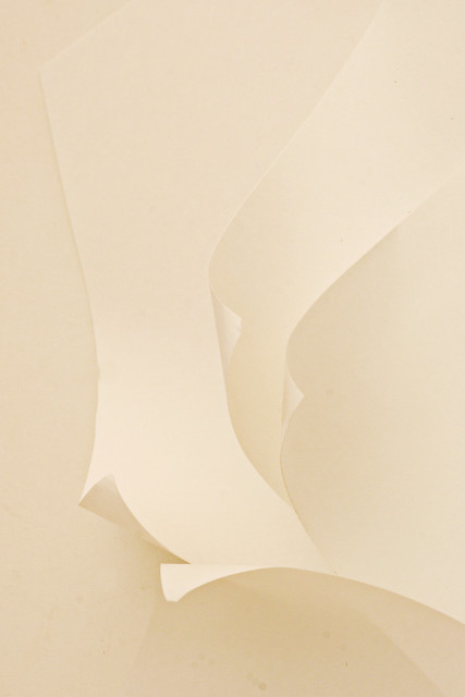 3282061300_5f83848d91_z.jpg