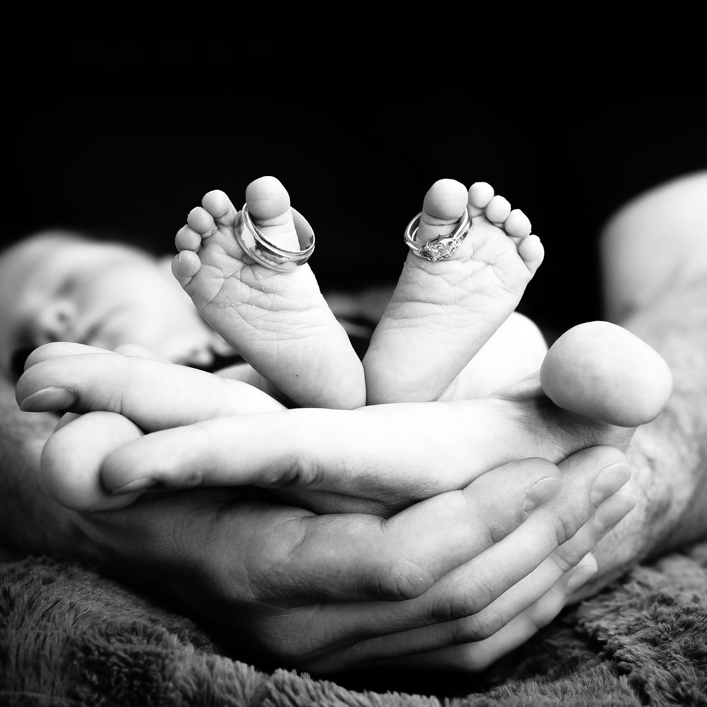 10110305005_f36abc8fa5_b.jpg