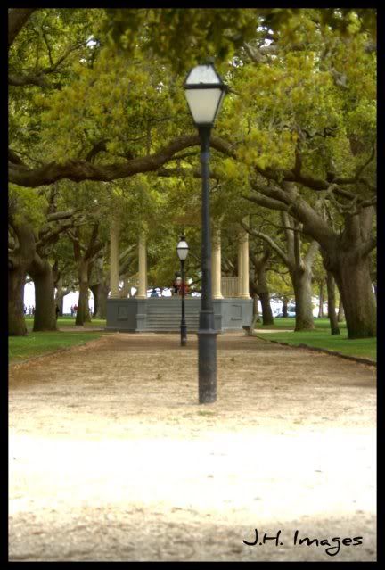 Canopy.jpg