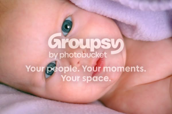 closeup.jpg