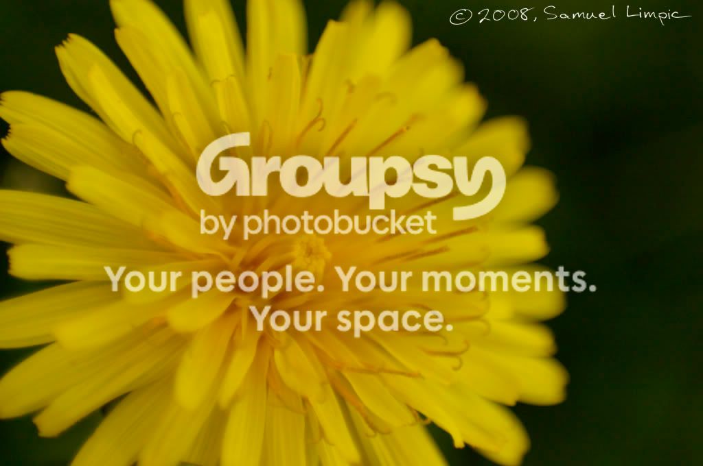 _IGP6640.jpg