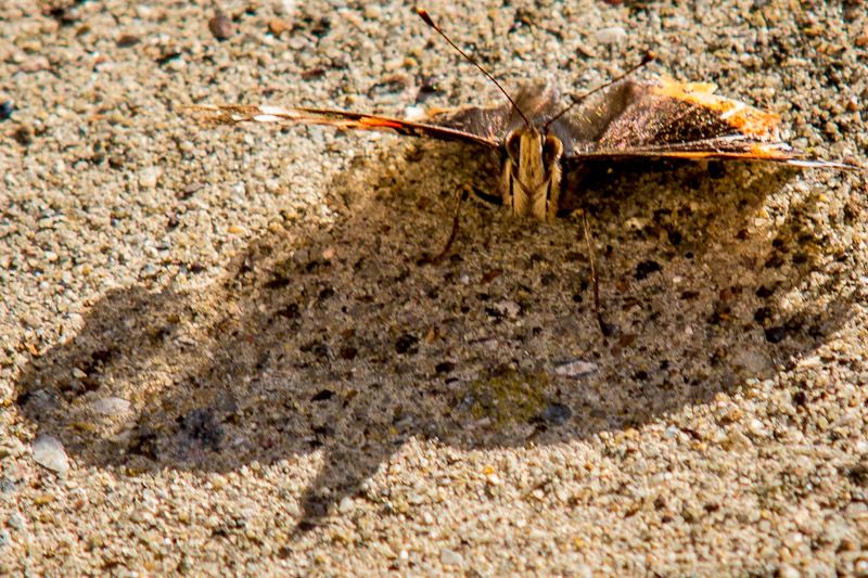 20120711-_MG_4120.jpg