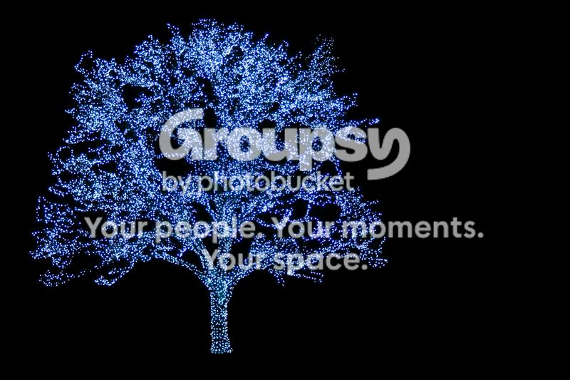 THEChristmastree-1.jpg