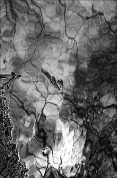 scan459-L.jpg