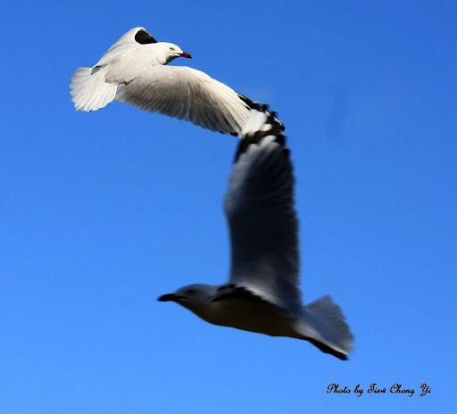 IMG_1754.JPG