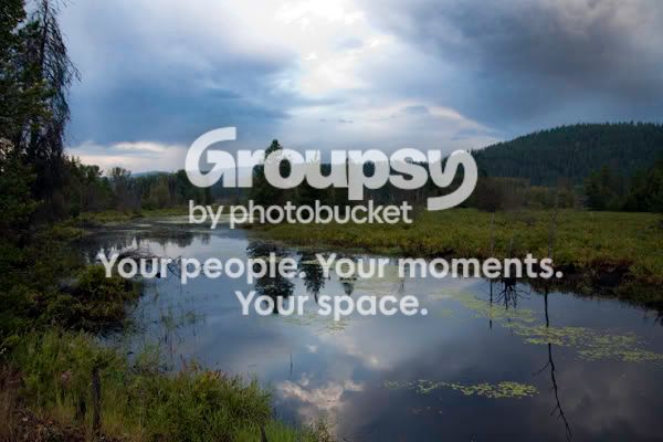 IMG_6812copy.jpg