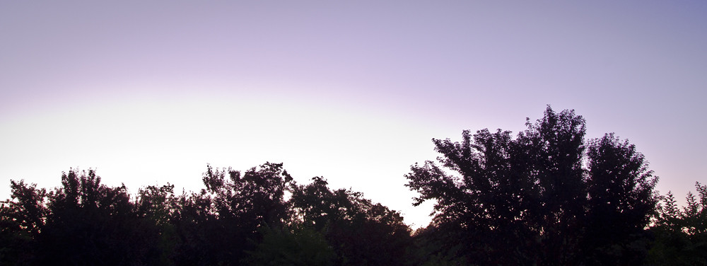 5978879798_fb66242473_b.jpg