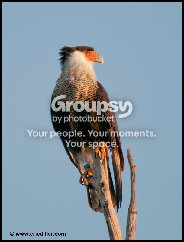 PIC_90912copy.jpg