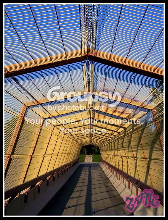 bridge2.jpg
