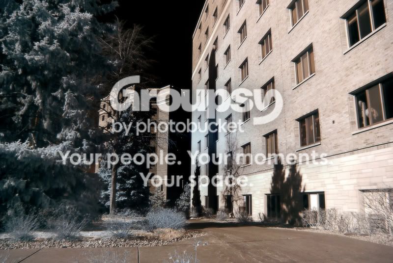 bradymorrisoncopy.jpg