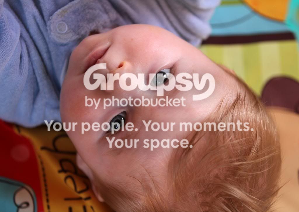 02-05-2013012_zpsf9a6b4ee.jpg