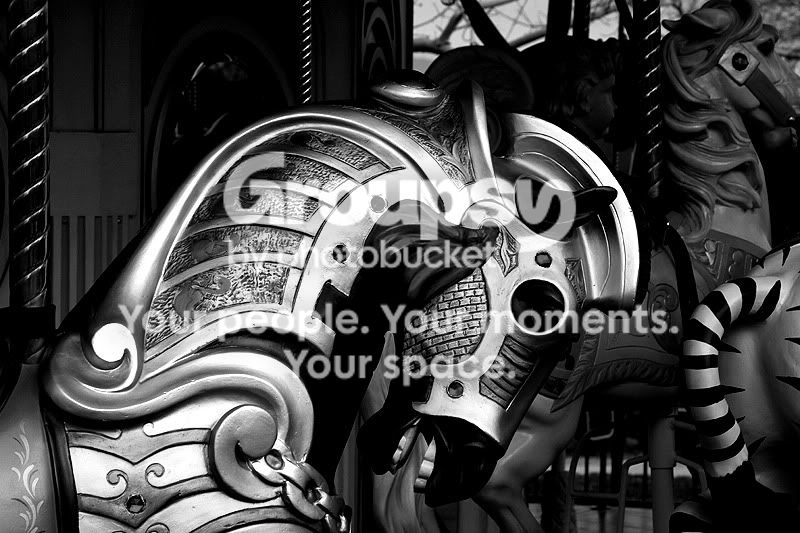 go-around_100bw.jpg