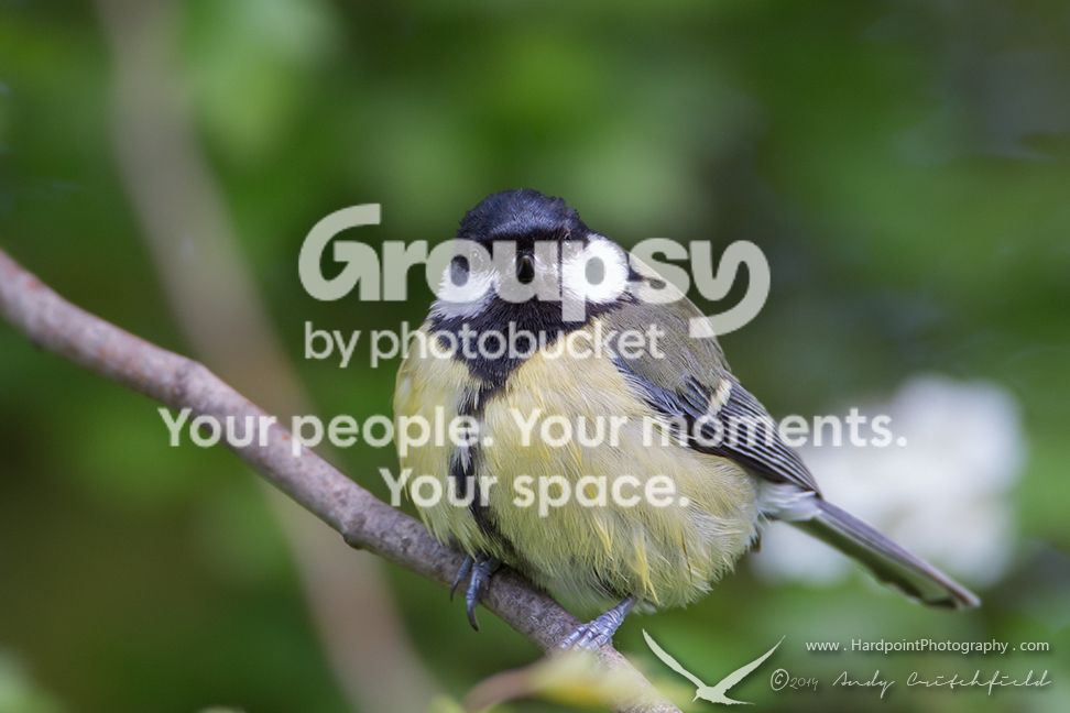 _HPP9072_zps9a9af347.jpg