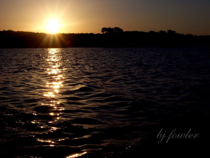 grapevinesunrise2-800x600.jpg