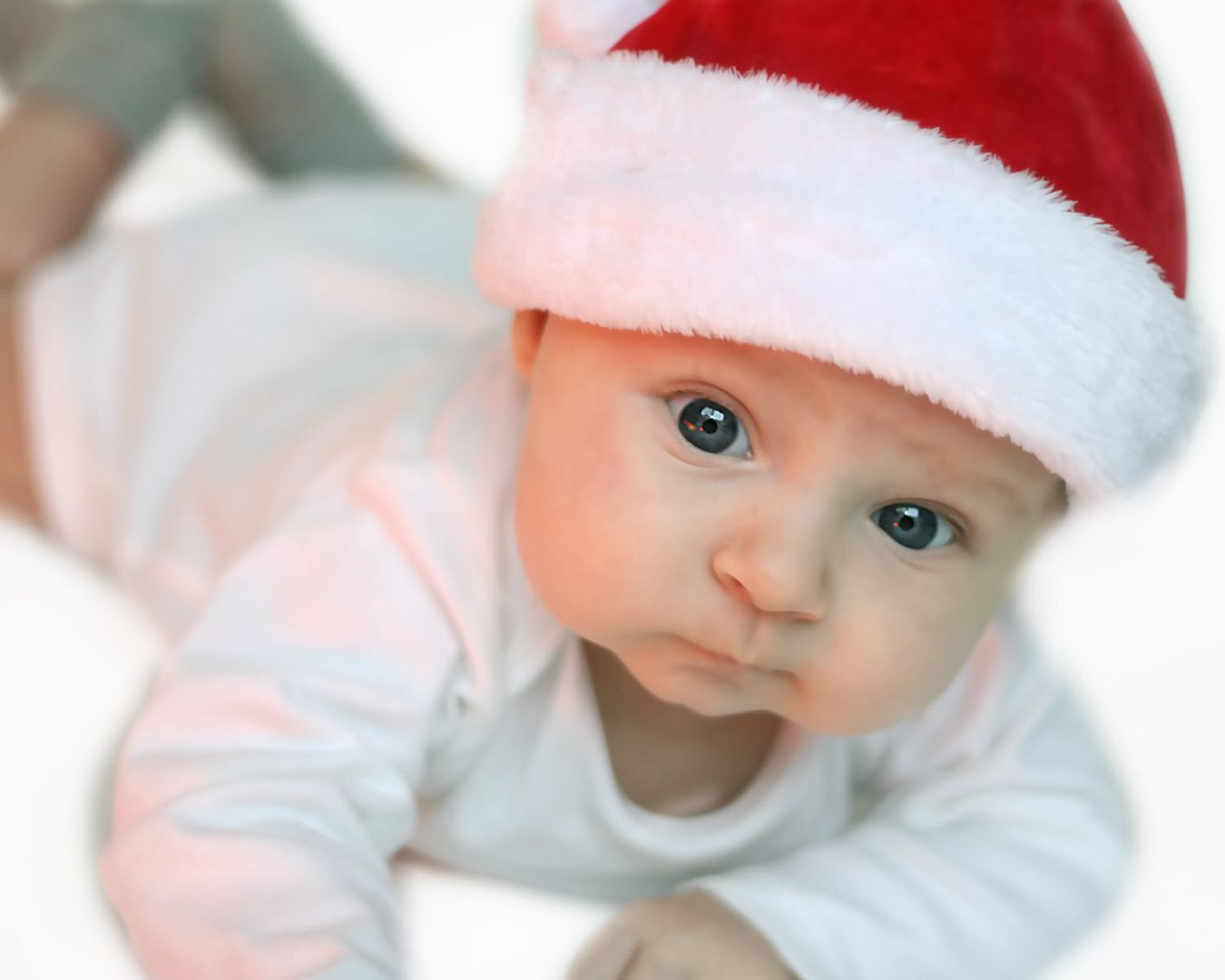 ReidChristmas08v2.jpg