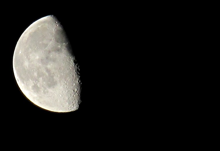 7176015518_2242d263a2_b.jpg