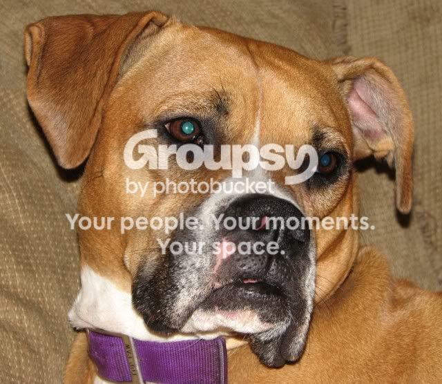 IMG_0218croppedLargeWebview.jpg