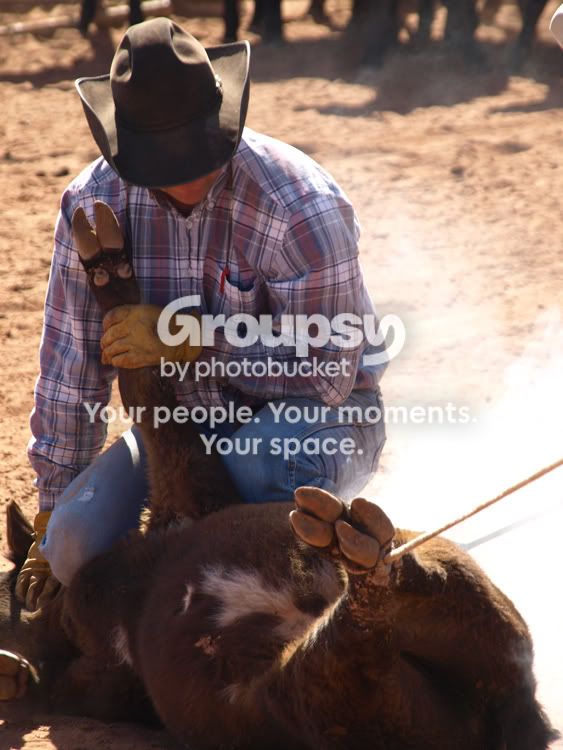 Branding-at-North-Camp-422c.jpg