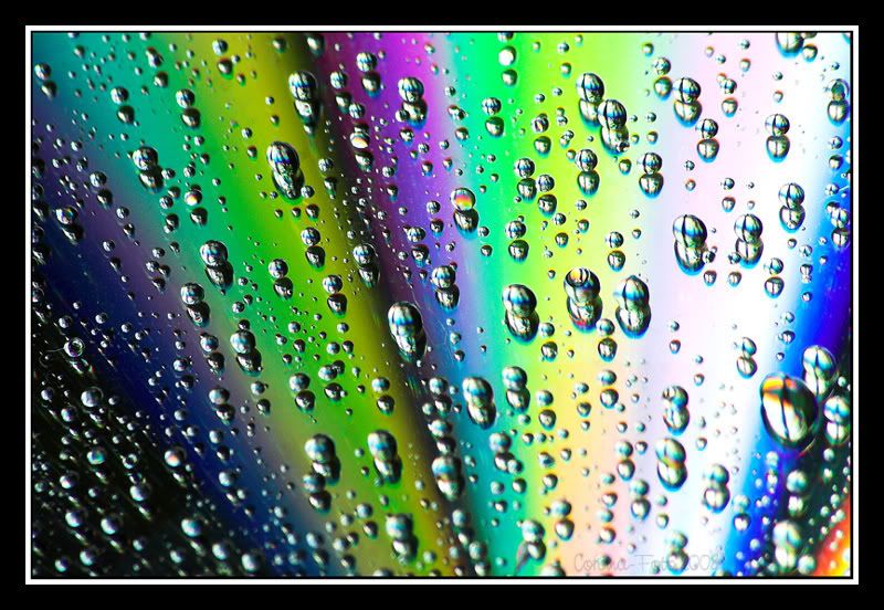 CD-droplet-colours_05.jpg