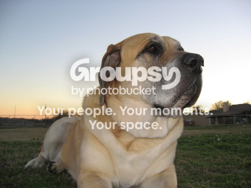 w00dyspictures027.jpg