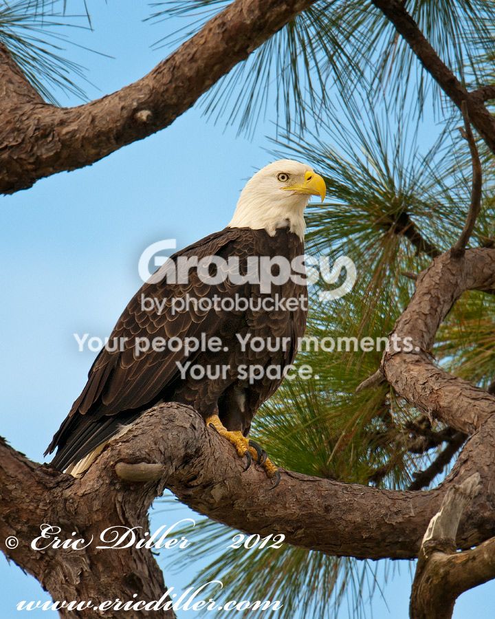 _ECD4291-copy900.jpg
