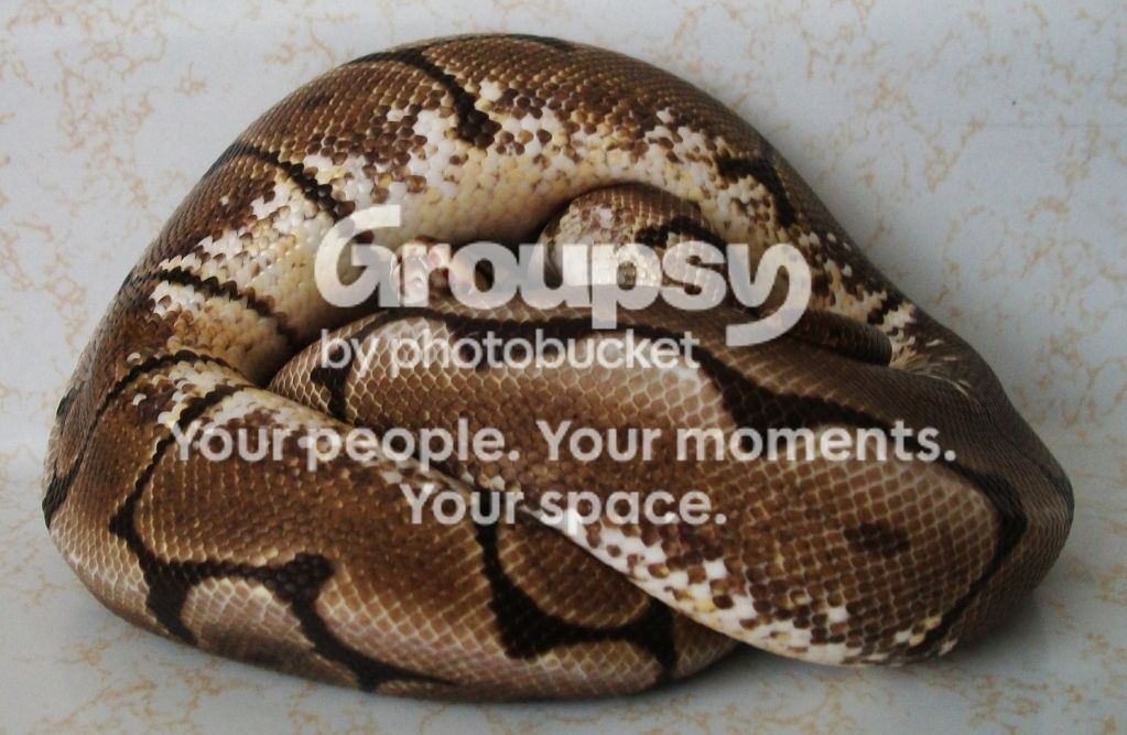 100_4397.jpg