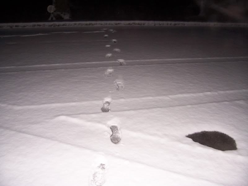 Footsteps.jpg