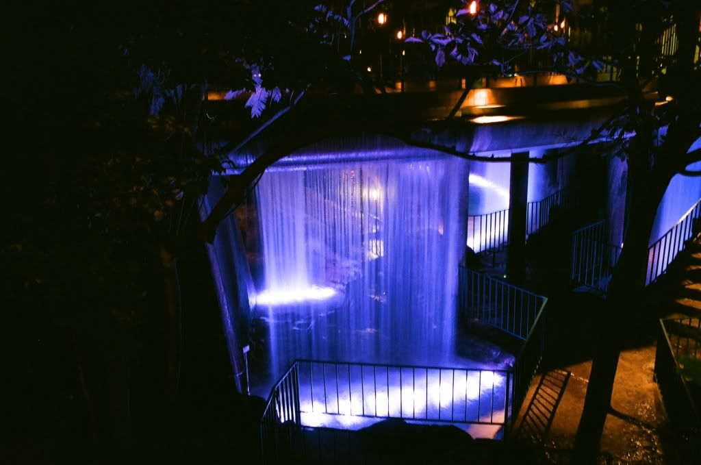 01820019.jpg