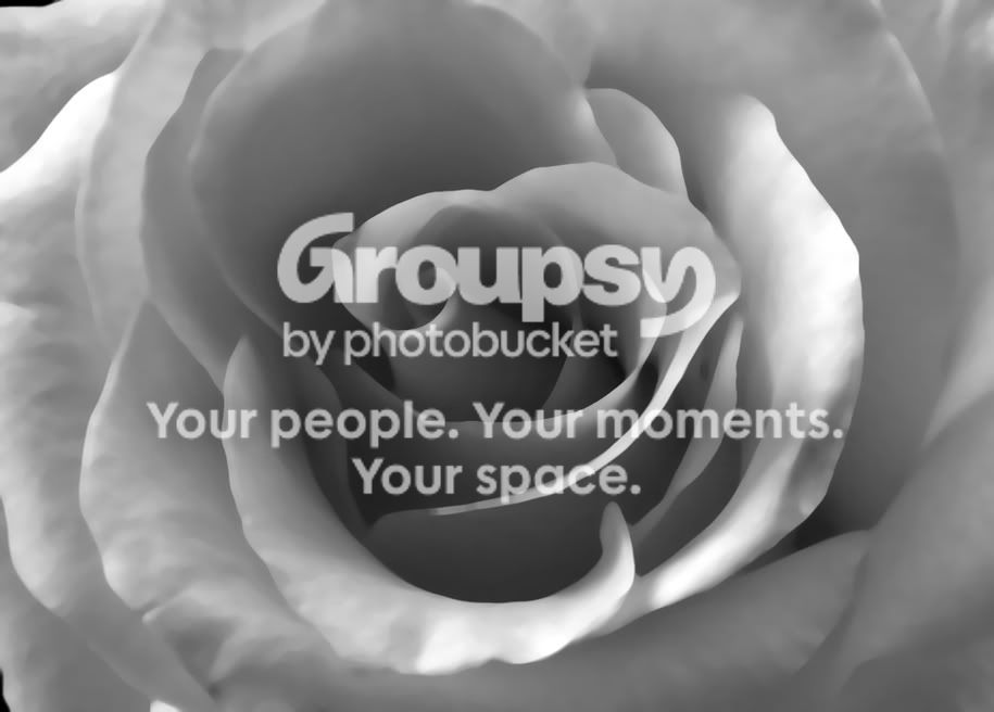 rose-bwandblurred-tiny.jpg