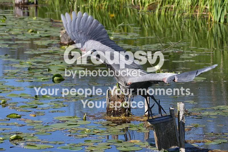 IMG_8081sm.jpg