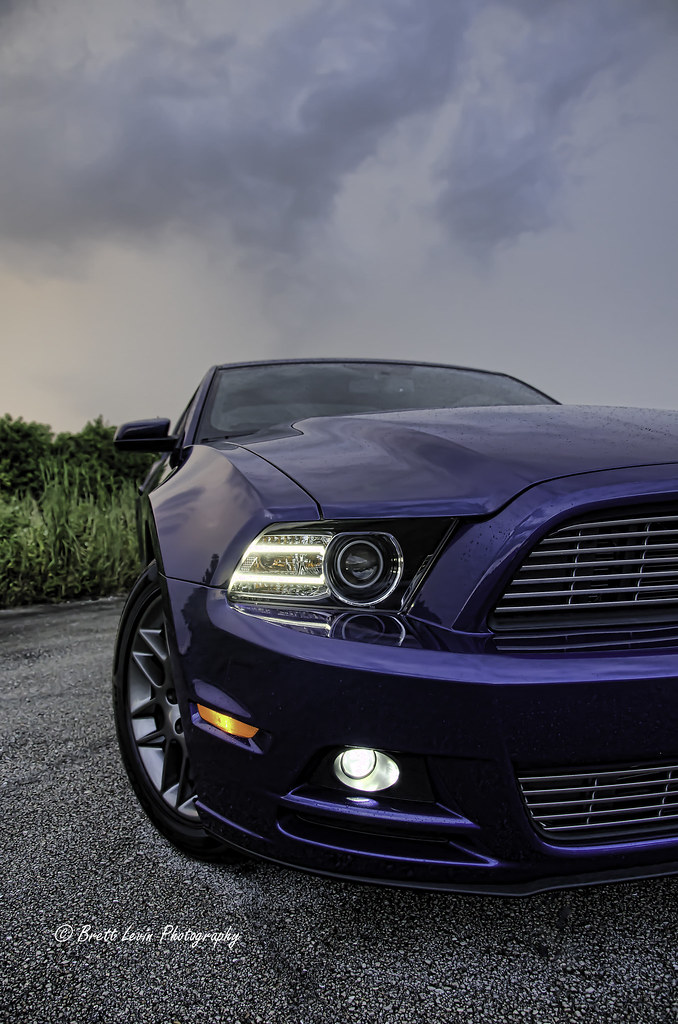 8004701424_d5b8b6d4f9_b.jpg