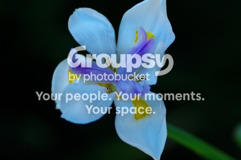 SG203923.jpg