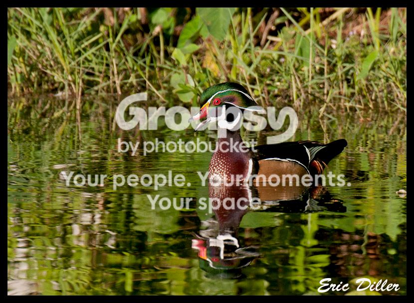 PIC_8138copy.jpg