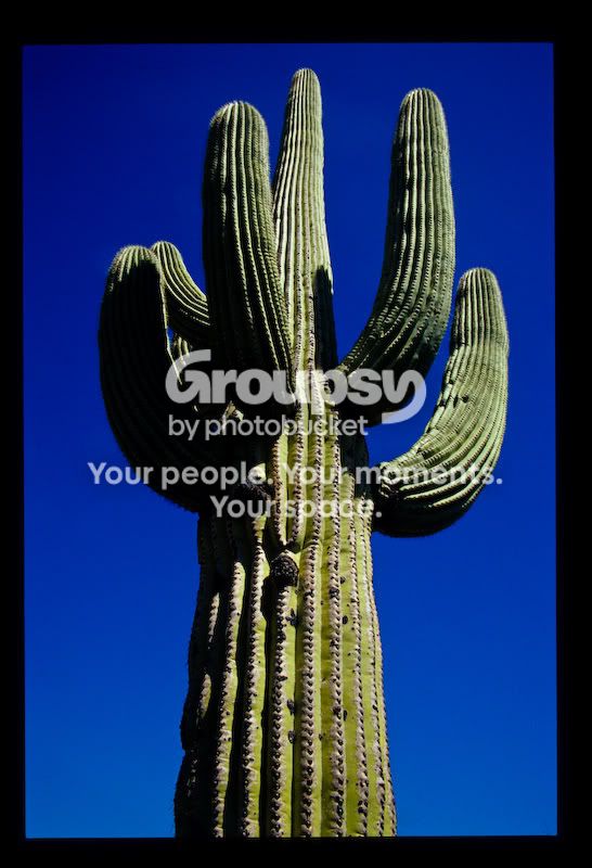 slides-4.jpg