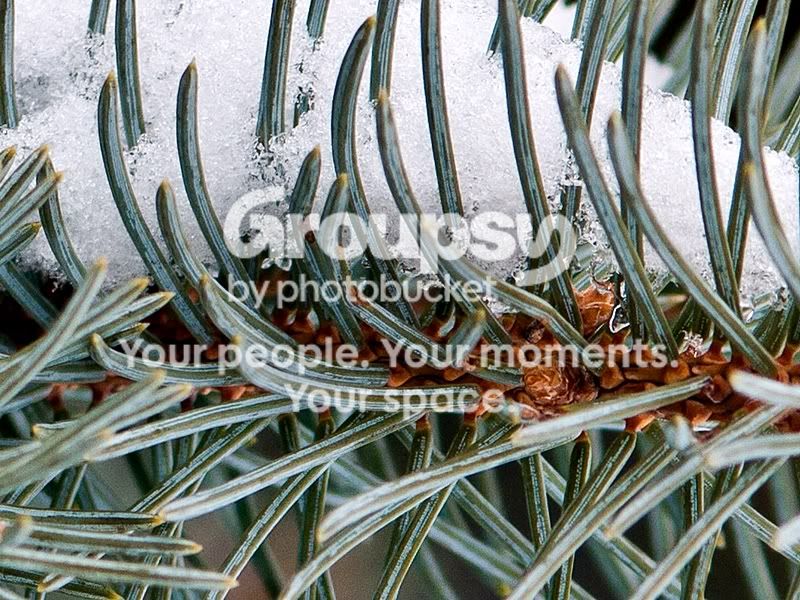 crop-1050308.jpg