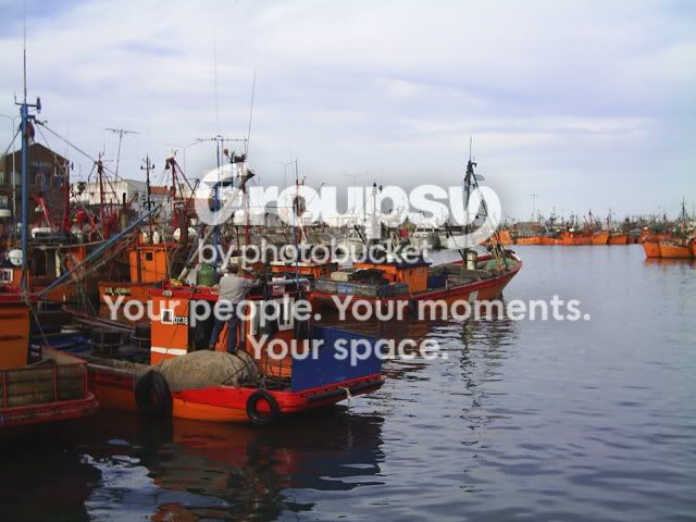 puerto2.jpg