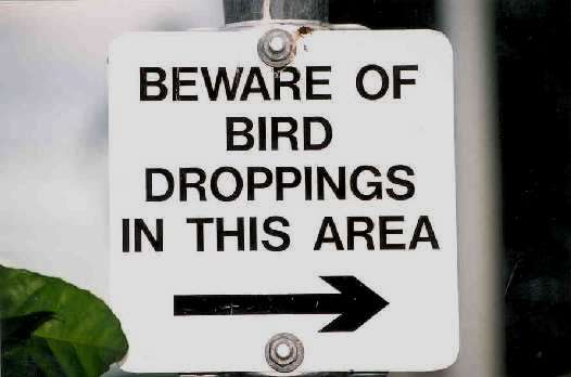 birdsignvp6.jpg
